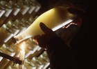 L’enemic del cava ve d’Itàlia