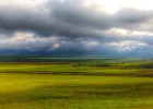 El suelo agrario pierde fuelle El suelo agrario pierde fuelle