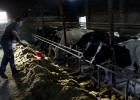La gran tormenta de la leche
