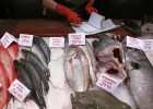 La inflación en la eurozona vuelve a cero y el paro supera aún el 11%