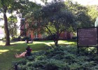 De la escuela pública española a la universidad en Estados Unidos De la escuela pública española a la universidad en Estados Unidos