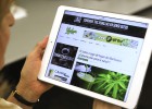 La marihuana del millón de euros