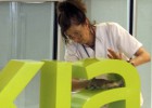 Bankia guanya 855 milions d’euros, per sobre dels seus objectius