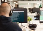 En busca del programador fiel