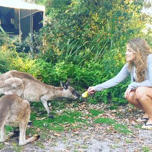 ¿Por qué es mejor aprender inglés en Australia?