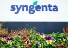 ¿Por qué el Gobierno chino quiere comprar Syngenta?