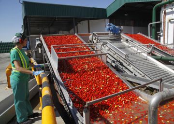Las cooperativas agroalimentarias sortean la crisis