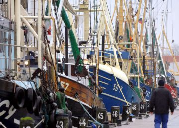 Los puertos, el nuevo dique contra los ‘piratas’ del pescado