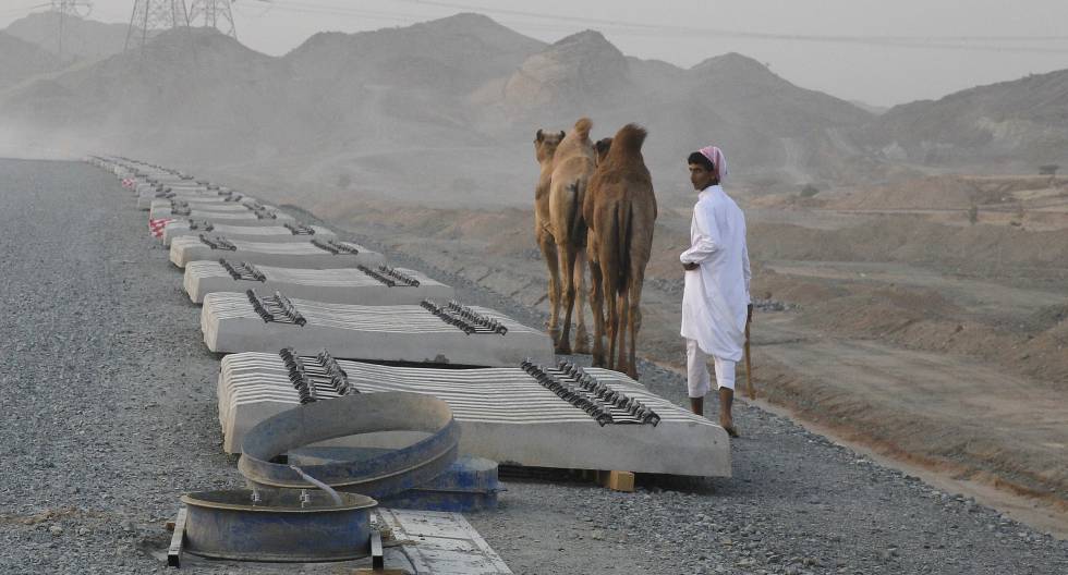 Beduino lleva sus dromedarios por la vía del tren en el tramo entre Yeda y Medina.