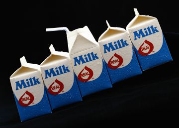 Esto es lo que puedes hacer con un cartón de leche usado Esto es lo que puedes hacer con un cartón de leche usado