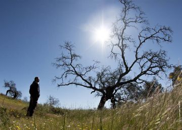 La falta de rentabilidad acelera el abandono de las dehesas