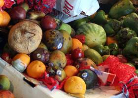 ¿Qué alimentos tiramos al cubo de basura con más frecuencia?