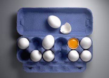 Esto es lo que puedes hacer con una caja de huevos usada Esto es lo que puedes hacer con una caja de huevos usada