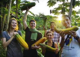 Qué estudiar cuando te gusta todo