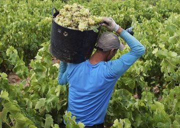 La Fiscalía pide más de mil años para un clan que esclavizaba a trabajadores