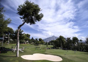 Brussel·les proposa que els camps de golf rebin ajudes agràries
