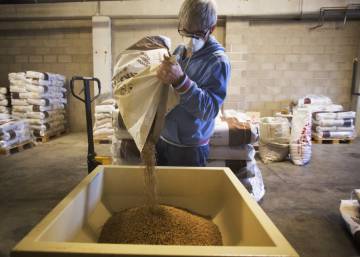 Así se fabrica una cerveza artesanal