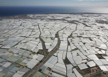 10 datos que dibujan el triunfo de la derecha en las mayores ciudades andaluzas