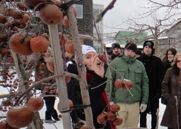 El néctar de las manzanas heladas