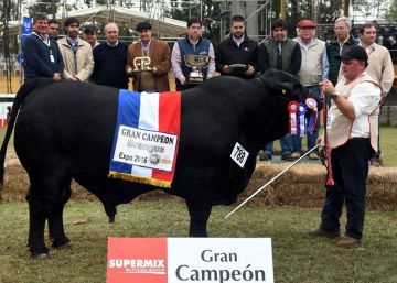 O novo império da carne na América do Sul