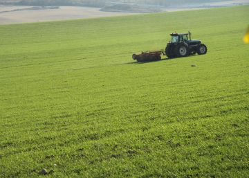 El valor de la producción agraria marca un récord en 2016 El valor de la producción agraria marca un récord en 2016