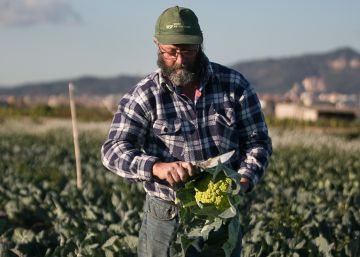 Vegetals a preu d’or