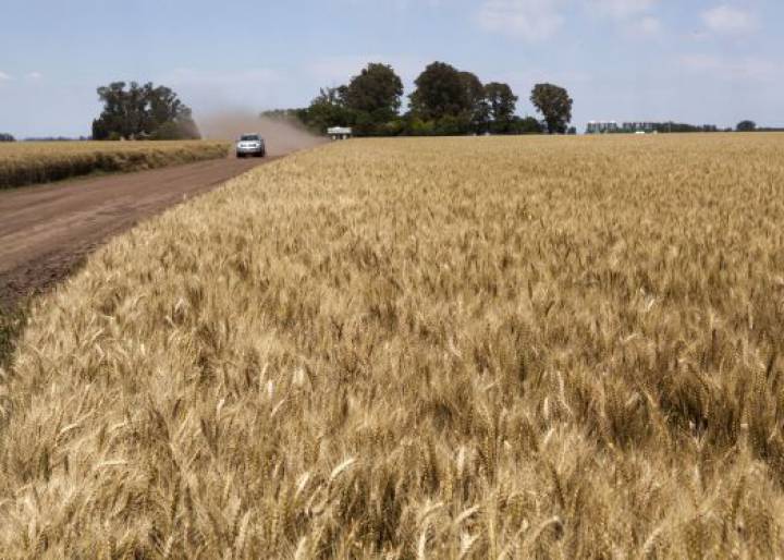 Macri empieza a gobernar con una gran bajada de impuestos al campo Macri empieza a gobernar con una gran bajada de impuestos al campo
