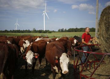 La América rural choca con Trump La América rural choca con Trump