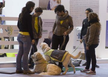 La gran exposición de la mascota La gran exposición de la mascota