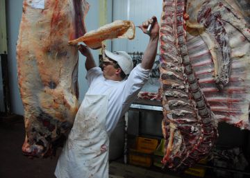 Argentina ve una oportunidad de negocios en el veto comercial a la carne brasileña