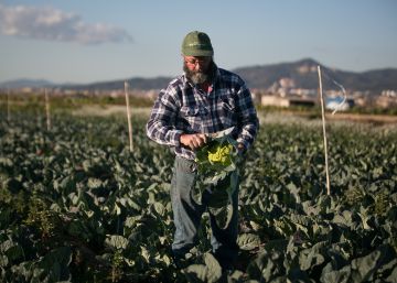 Agricultura negocia la aplicación de la próxima reforma de la PAC