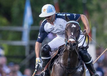El jugador de polo que clonó a su caballo y creó una biotecnológica