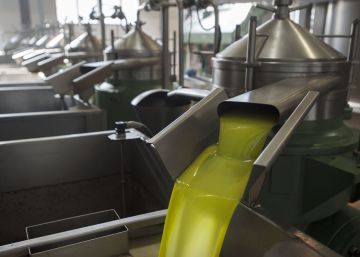 El alto precio del aceite de oliva sube la demanda del de girasol