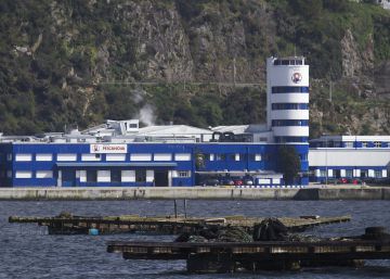 Nueva Pescanova amplía capital por 135,4 millones y diluye al mínimo a los antiguos propietarios Nueva Pescanova amplía capital por 135,4 millones y diluye al mínimo a los antiguos propietarios