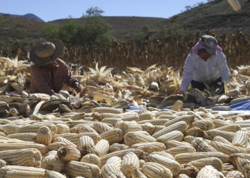 México descarta sorpresas en la renegociación del TLC con EEUU y Canadá México descarta sorpresas en la renegociación del TLC con EEUU y Canadá