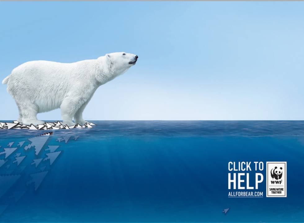 WWF, 56 años al servicio de la tierra