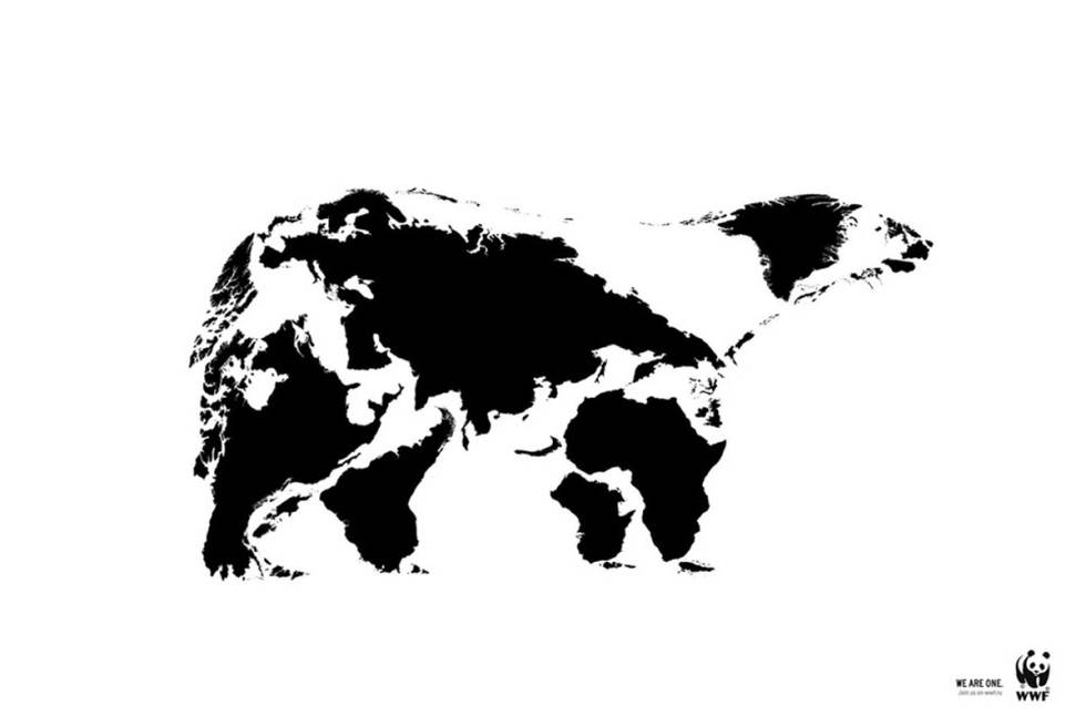 WWF, 56 años al servicio de la tierra