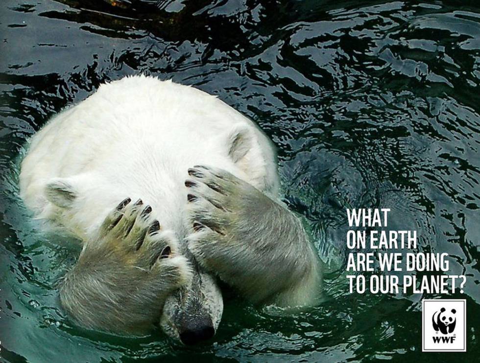 WWF, 56 años al servicio de la tierra