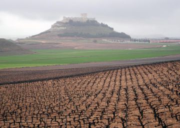El hielo y la sequía amenazan la cosecha de uva y cereales El hielo y la sequía amenazan la cosecha de uva y cereales