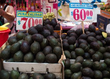 El aumento de la demanda mundial dispara el precio del aguacate El aumento de la demanda mundial dispara el precio del aguacate