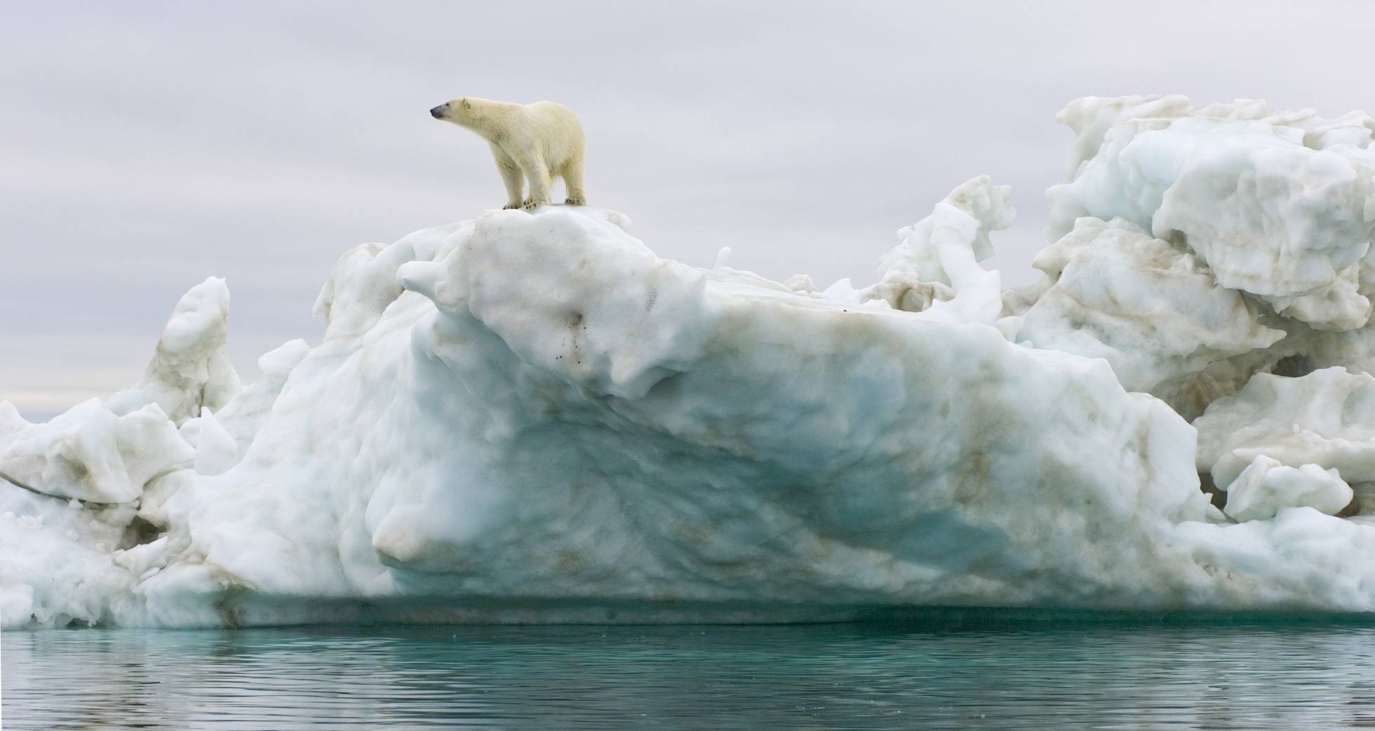 La temperatura del planeta se incrementa con el cambio climático en dos grados cada siglo.