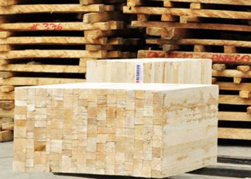 El campeón de la madera balsa El campeón de la madera balsa