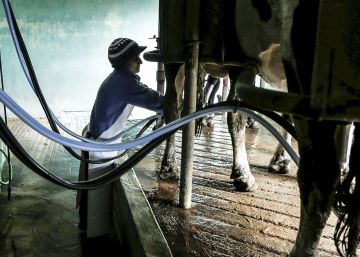 O discreto milagre da esquerda uruguaia: 15 anos de crescimento ininterrupto O discreto milagre da esquerda uruguaia: 15 anos de crescimento ininterrupto