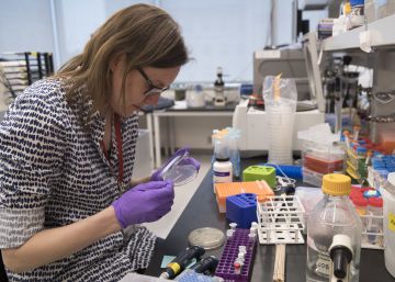 Estados Unidos duplica el crecimiento en el segundo trimestre Estados Unidos duplica el crecimiento en el segundo trimestre