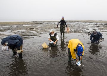Las mujeres quieren decidir en la pesca Las mujeres quieren decidir en la pesca