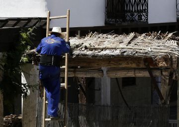 La muerte lenta de Zorita