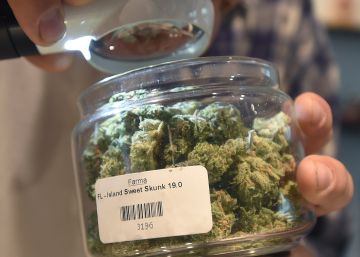 Marihuana medicinal en las Américas Marihuana medicinal en las Américas
