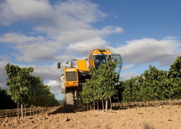 Tregua en la guerra del vino de Rioja