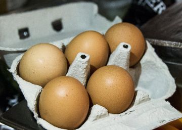 Retirada en Cataluña una partida de huevo en polvo contaminado que no llegó a venderse Retirada en Cataluña una partida de huevo en polvo contaminado que no llegó a venderse