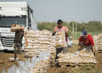El crecimiento de afiliados
extranjeros duplica el de todo el mercado laboral